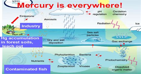 What is mercury? | What is mercury, Organic matter, Chemistry