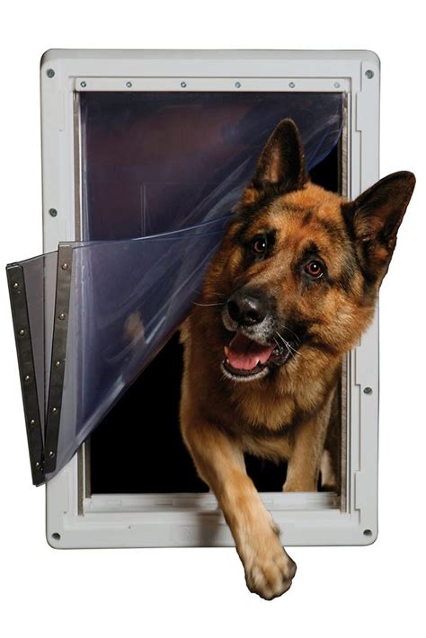 12 Practical Doggy Doors for Large Dogs (up to 220 lbs) - Hey, Djangles.