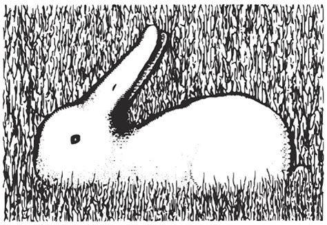 Optical Illusion of the Day - Bunny Rabbit or? - My Groovy Day ...