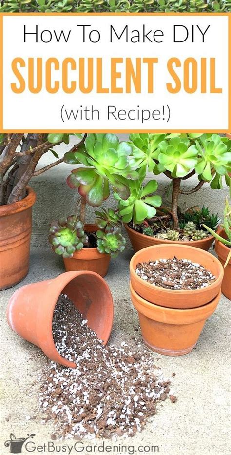 How To Make Your Own Succulent Soil (With Recipe!) | Best soil for succulents, Succulent potting ...