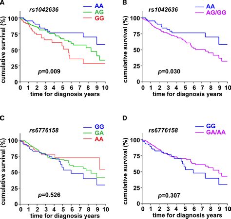 Calcium Sensing Receptor Variants Increase Pulmonary Hypertension Susceptibility | Hypertension