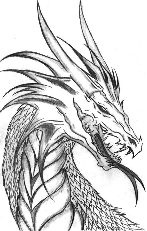 Pin by Диана on Dragons | Cool dragon drawings, Dragon coloring page, Dragon drawing