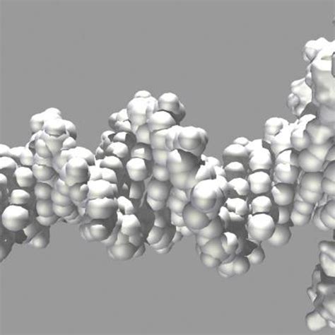 dna helicase 3d model