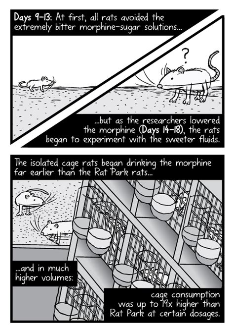 Comic about the Rat Park drug addiction experiment / Boing Boing