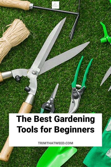 The best gardening tools for beginners – Artofit