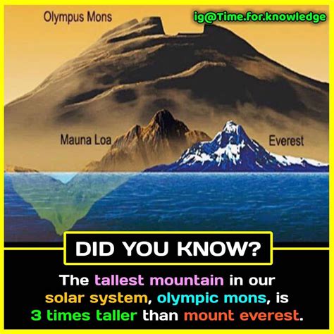 Pin on Facts | Interesting science facts, Interesting facts about world, Unbelievable facts