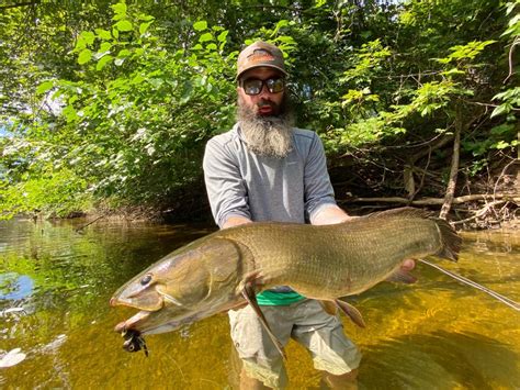 Bowfin on the Fly in the Great Lakes - Flylords Mag