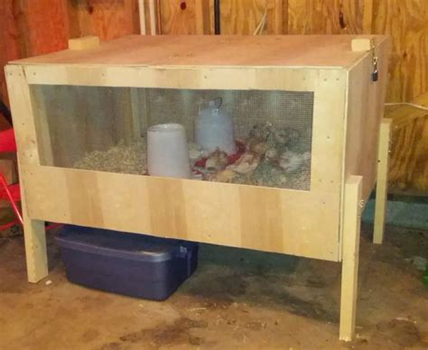 Build a Brooder for Your Chicks | Chicken brooder, Raising backyard chickens, Chickens backyard