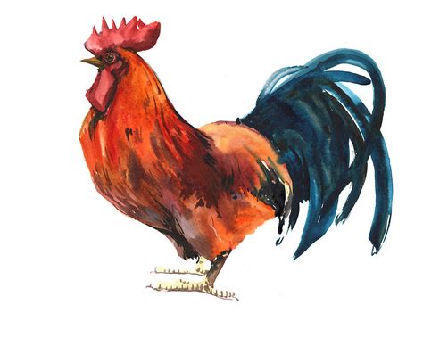 Red Rooster Painting by Suren Nersisyan - Fine Art America