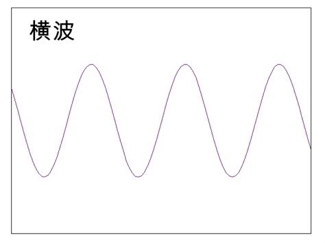 縦波と横波とは | ぷち教養主義