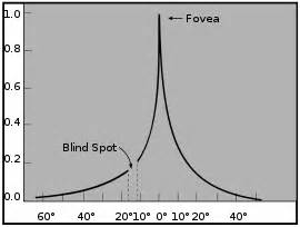 usability testing - Where can I find more information on foveal and binocular vision, and its ...