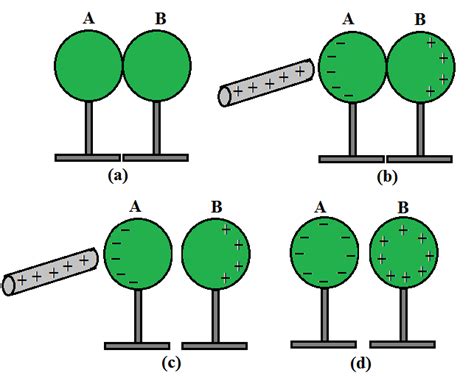 Charging By Induction - Definition, Examples, and FAQs