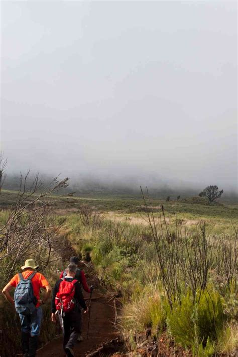 Kilimanjaro Rongai Route: 6 or 7 days - Arusha Trips