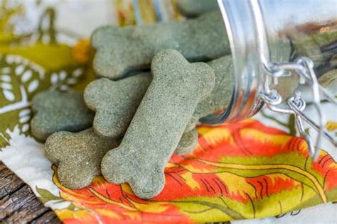 17 Healthy Homemade Pet Food Recipes And Treats | Homesteading