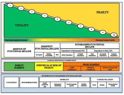 A NEW PROPOSAL FOR THE CLINICAL-FUNCTIONAL CATEGORIZATION OF THE ...