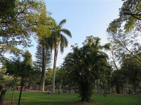 Cuscatlan Park (San Salvador) - 2020 All You Need to Know BEFORE You Go ...