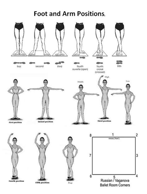 Printable Ballet Positions