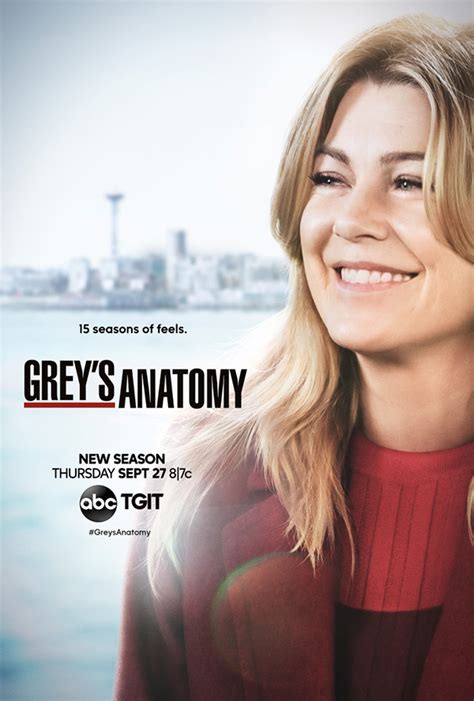 Grey's Anatomy (season 16)