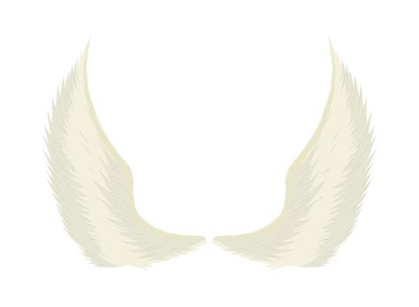 angel wings white background 10964612 Vector Art at Vecteezy