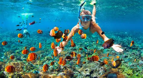 The Difference Between Snorkeling and Scuba Diving - AquaViews