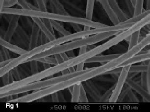 Scanning electron micrograph of virgin silk fibre | Download Scientific ...