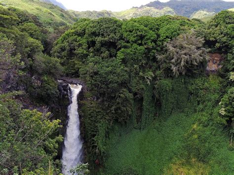 Best Hiking Trails in Maui — Maui Camping Company