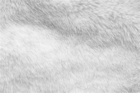 White fur fabric texture background 38081377 Stock Photo at Vecteezy