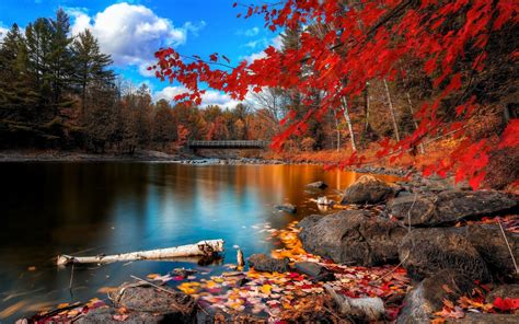 Hình nền thu đẹp mắt 4k fall desktop backgrounds với độ phân giải cao nhất