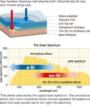 Teoría establecida atleta eficiencia amorphous silicon solar cell ...