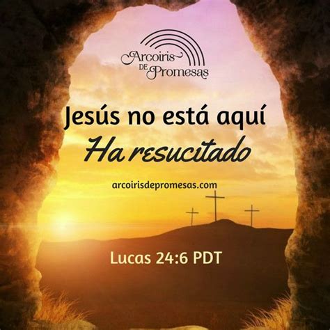 La resurrección de Jesús | Resurreccion de jesus, Imagenes de jesus resucitado, Citas de la biblia