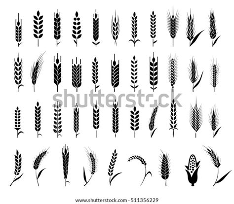 5,031 Granulated Wheat Images, Stock Photos & Vectors | Shutterstock