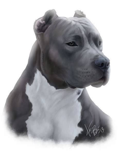 Blue Pitbull Portrait by RedEyedDemon on DeviantArt | Blue pitbull ...