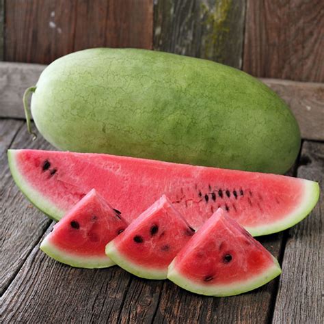 Charleston Grey Watermelon Seeds - 2 g ~16 Seeds - Non-GMO, Heirloom ...