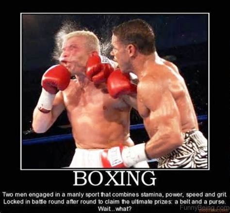 Boxing Memes