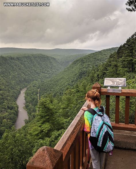 Exploring the Turkey Path at Leonard Harrison State Park