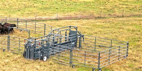 17 Best images about Cattle Management - Handling Equipment and Fencing on Pinterest | Field ...