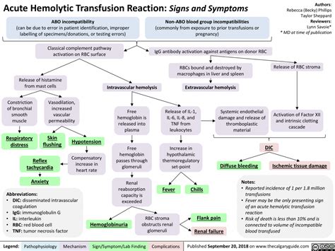 Acute Hemolytic Transfusion Reactions: Signs and Symptoms | Calgary Guide