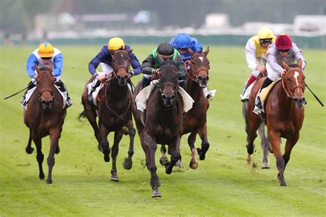 Flat and Jump Racing | France Galop