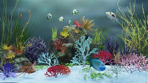 Moving Aquarium Wallpaper (49+ images)