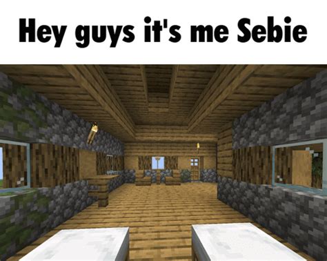 Minecraft Sebie GIF - Minecraft Sebie Minecraft memes - Discover & Share GIFs