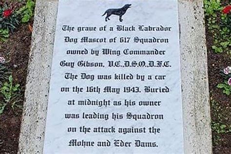 Dambusters dog: Headstone racist name removal 'disgraceful' - BBC News