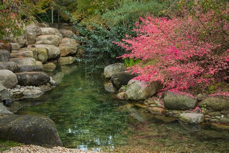 japanese garden in autumn time 7566789 Stock Photo at Vecteezy