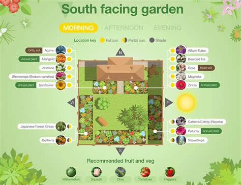 Plant suggestions for a North, South, East or West facing garden