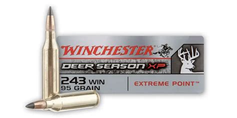 Best 243 Ammo For Hunting Deer, Hogs, & Varmints