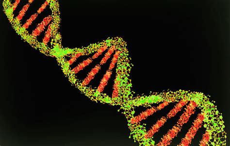 Data in your DNA - Telegraph India