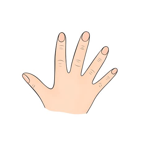 finger human body part cartoon illustration 23208848 PNG