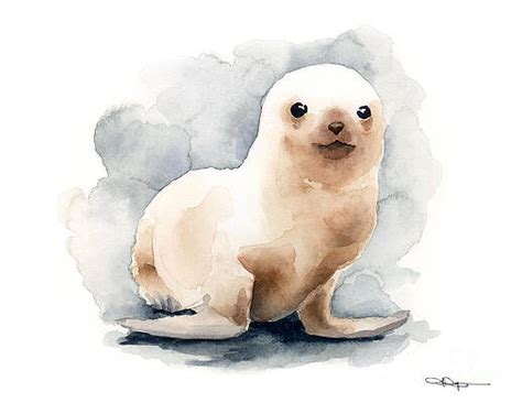 Seals Art for Sale - Pixels