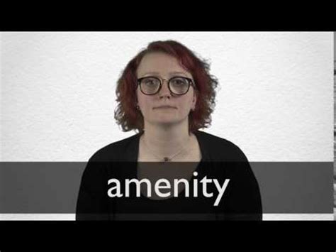 AMENITY definition and meaning | Collins English Dictionary