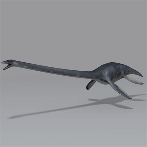 3d model marine elasmosaurus elasmosaur