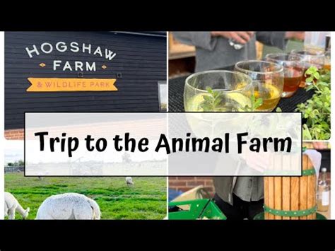 Trip to the Animal Farm | Hogshaw Farm and Wildlife park | Family day out | Children’s Farm ...